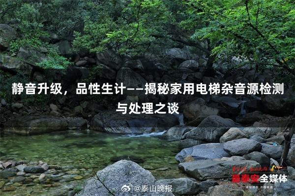 静音升级，品性生计——揭秘家用电梯杂音源检测与处理之谈