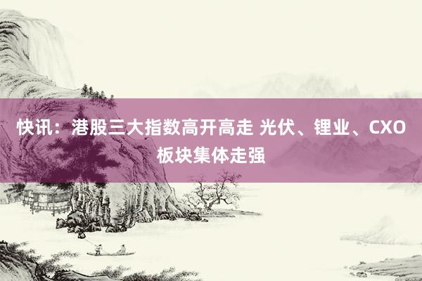 快讯：港股三大指数高开高走 光伏、锂业、CXO板块集体走强