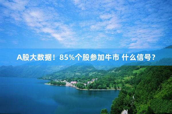 A股大数据！85%个股参加牛市 什么信号？